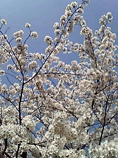 050416_0833~001.jpg