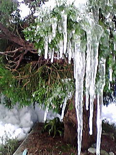 060106_0824~002.jpg