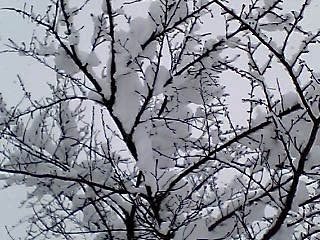 060108_1306~001.jpg